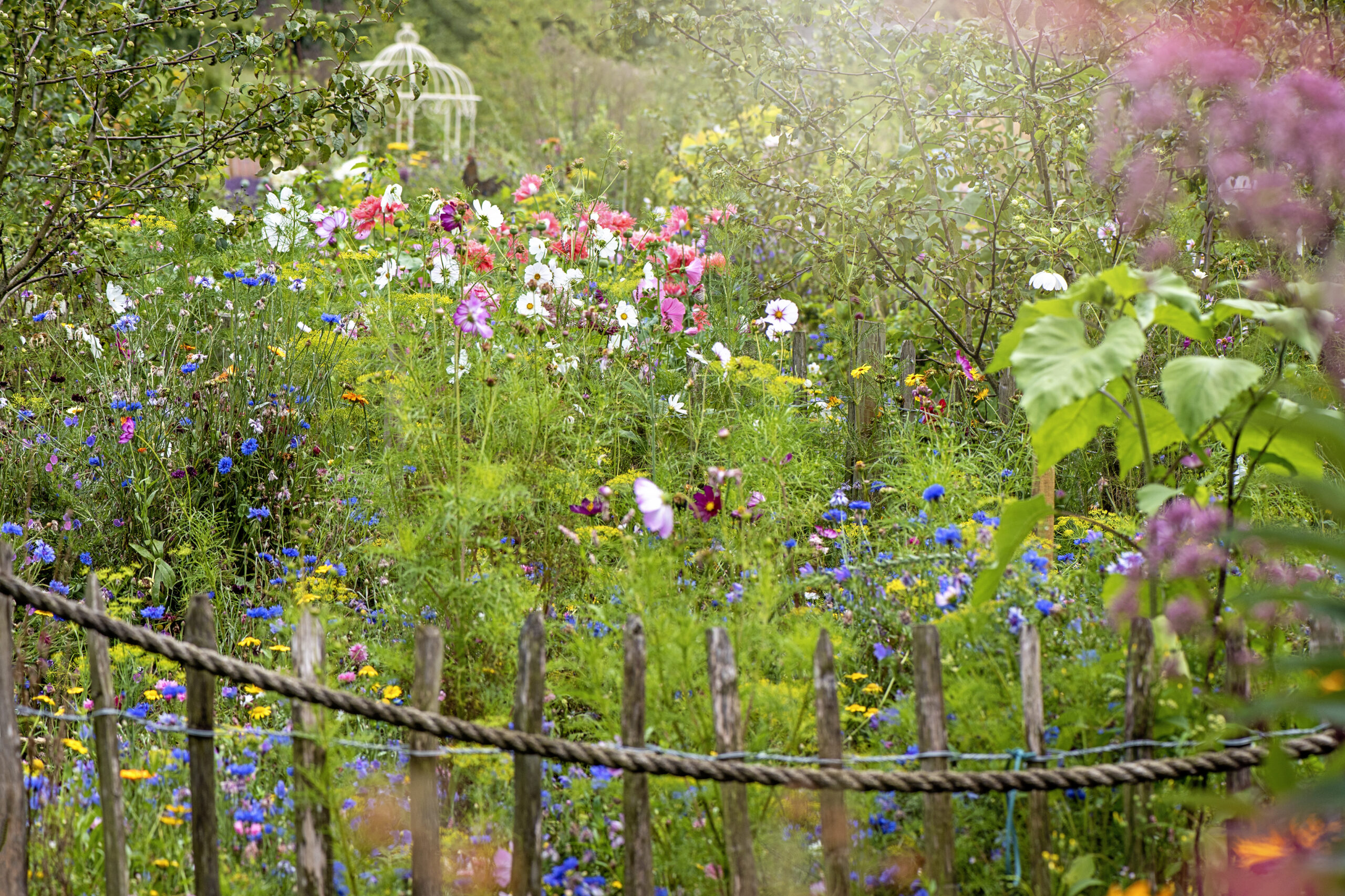 Sustainability and environmental stewardship take centre stage at Chelsea Flower Show