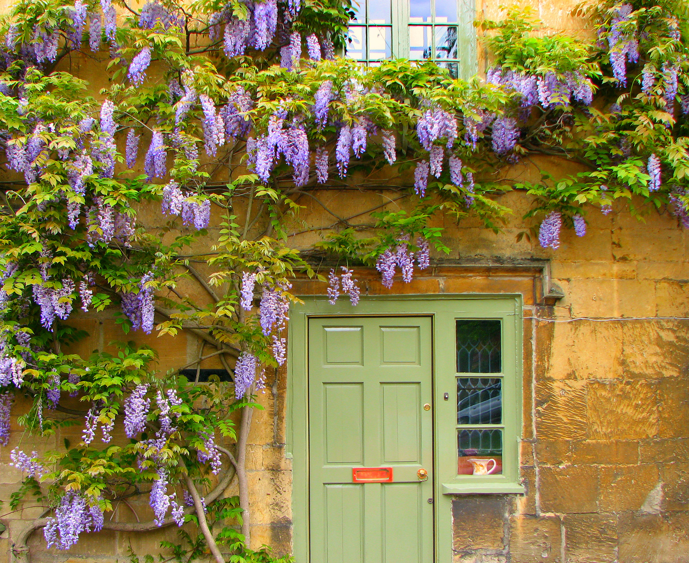 The Buying Solution in Country Life