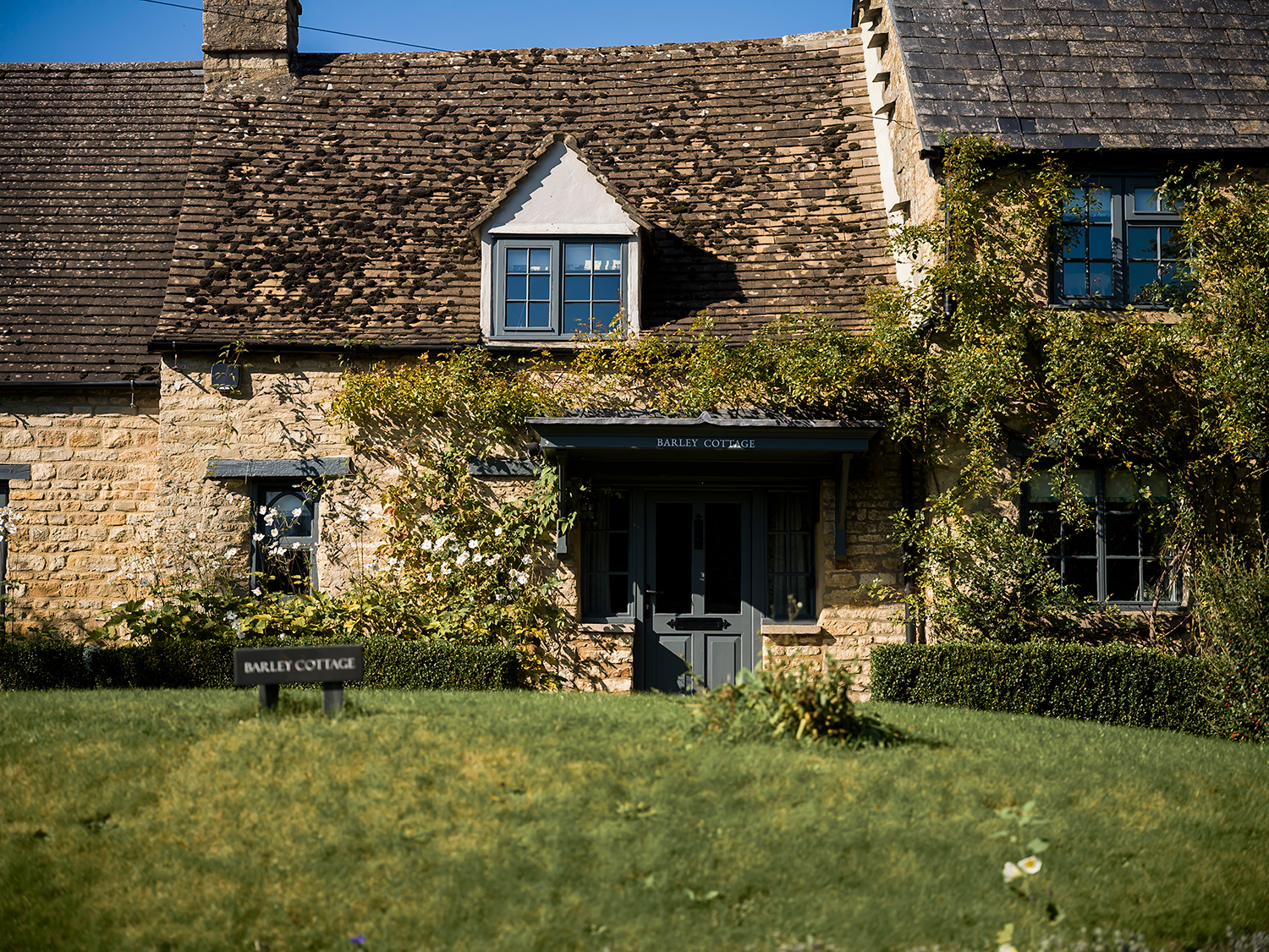 In the Press: The Buying Solution in The Telegraph
