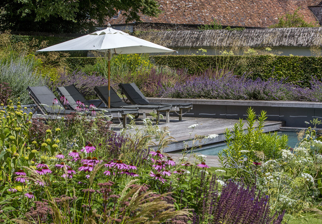 Swimming pool, sun loungers and sun shade surrounded by flowers