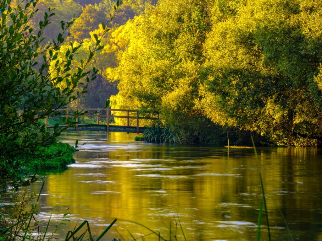 River Test Hampshire Valleys