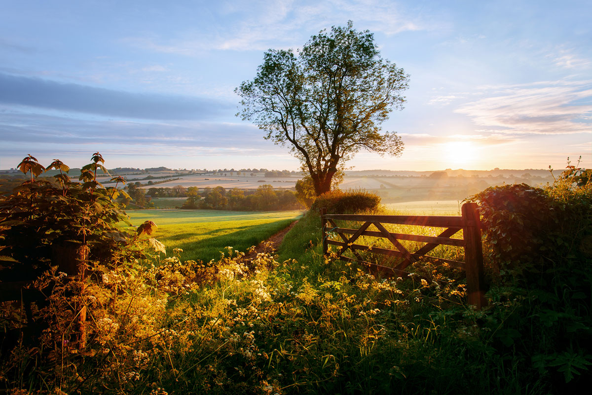 Rights of Way – What You Should Know and Why They Matter