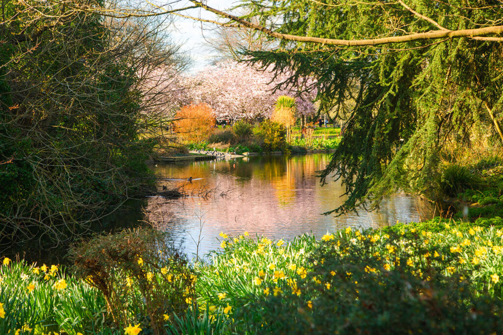 Ravenscourt Park, Getty