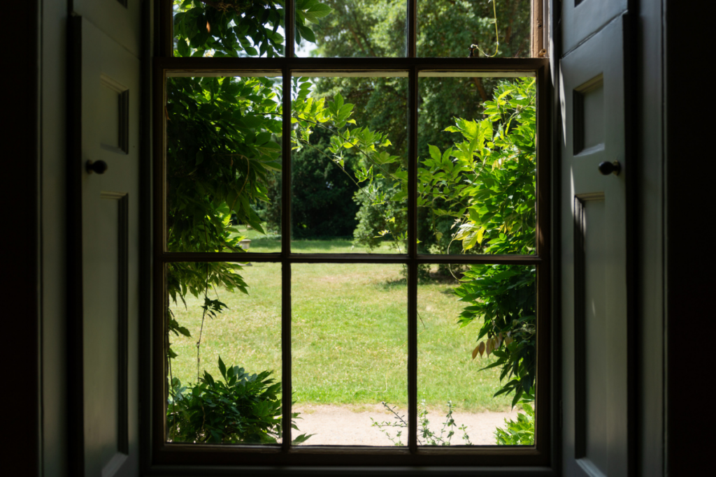 View through Georgian sash windows onto a summer garden in London with wisteria 