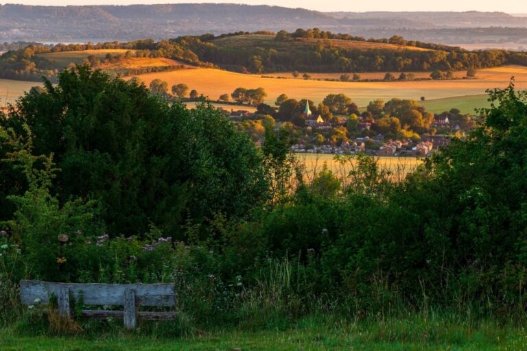 The Insider’s Guide to Buying a Home in West Sussex