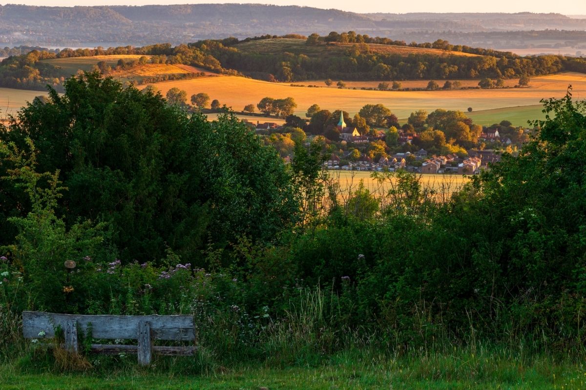 The Insider’s Guide to Buying a Home in West Sussex
